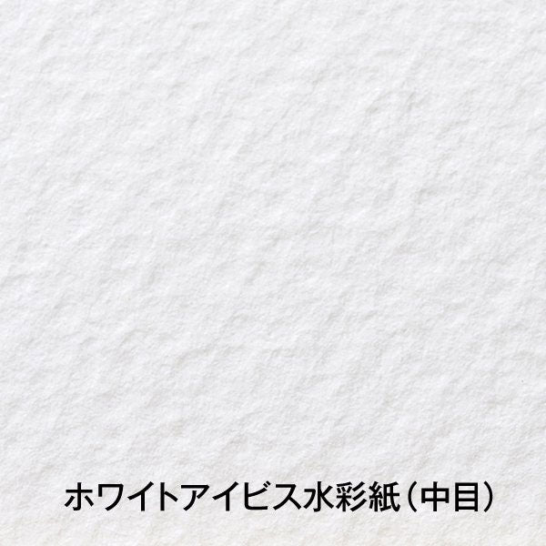 ホワイトアイビス水彩色紙 1/4色紙 300g 中目 (5枚入) ホルベイン 271335 [M便 1/4]