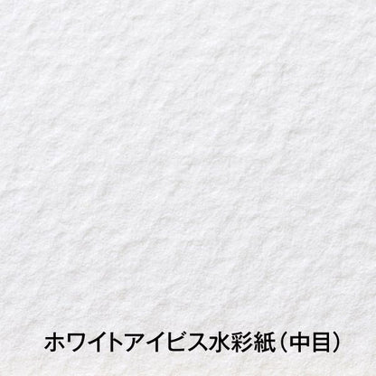 ホワイトアイビス水彩色紙 1/4色紙 300g 中目 (5枚入) ホルベイン 271335 [M便 1/4]