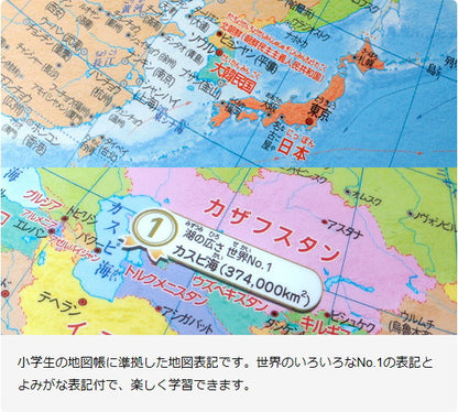小学生の地球儀（行政タイプ）　球形20cm　初めての地球儀に！　地球儀スケール付　レイメイ藤井　OYV11　読み仮名つき　やさしい　ギフト