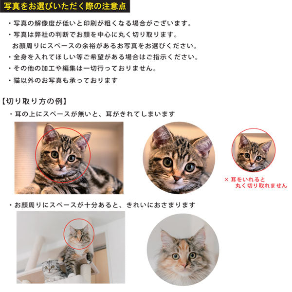 【写真・名入れ可能】猫のケース オリジナル 桐箱 [丸型]