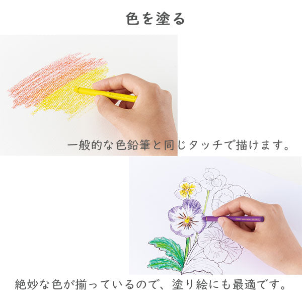 Vistage《ヴィスタージュ》 水彩スティック ＜12色入り 　全5種類＞ ぺんてる GSS1-12** *