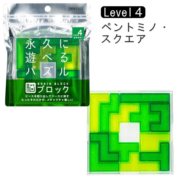 BRAIN BLOCK　ブレインブロック　[ペントミノ・スクエア]  テンヨー TBB-04