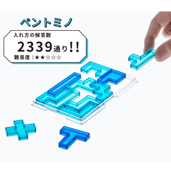 BRAIN BLOCK　ブレインブロック  [ペントミノ]  テンヨー TBB-02