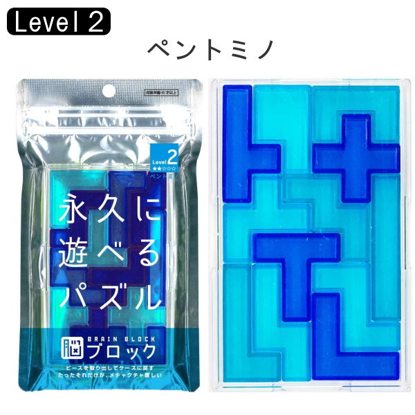BRAIN BLOCK　ブレインブロック  [ペントミノ]  テンヨー TBB-02