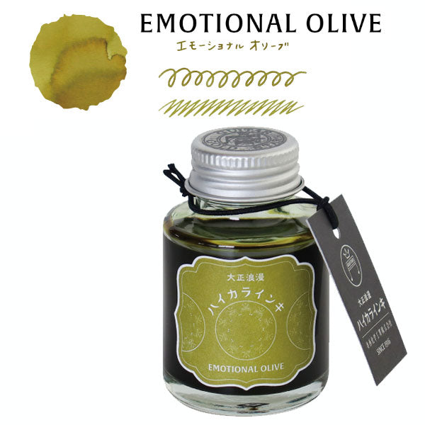 ギター 大正浪漫 ハイカラインキ 40ml [全４色] 寺西化学工業 　TRH-40ML-T