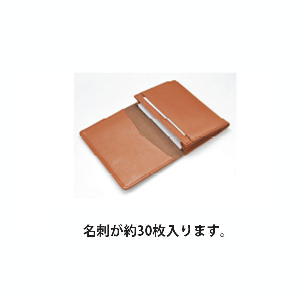 トレンダーレザー09 名刺入 30枚用 [全6色] パイロット TLPN-09- [M便 1/5]【取寄せ品】