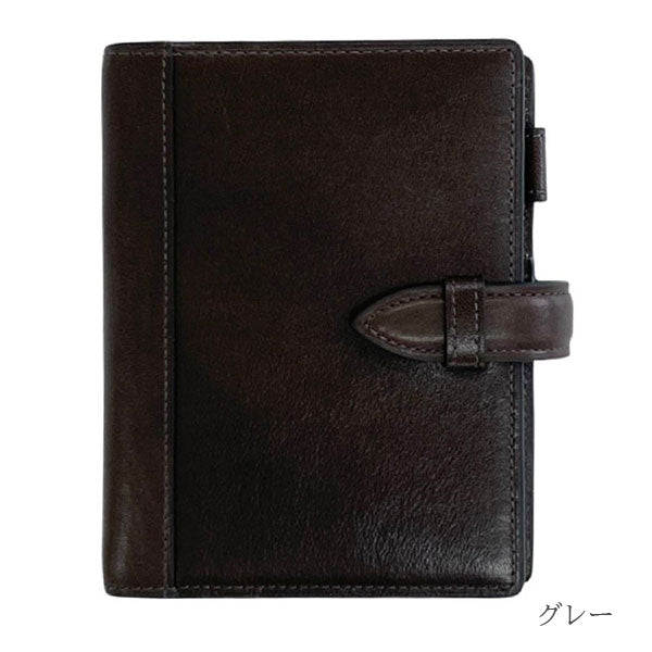 ASHFORD イシュー《Issue》MINI6サイズ［1269］全4色 リングサイズ19mm ベルト アシュフォード【送料無料】