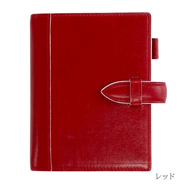 ASHFORD イシュー《Issue》MINI6サイズ［1269］全4色 リングサイズ19mm ベルト アシュフォード【送料無料】