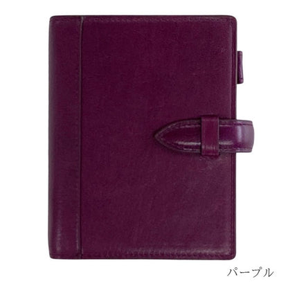 ASHFORD イシュー《Issue》MINI6サイズ［1269］全4色 リングサイズ19mm ベルト アシュフォード【送料無料】