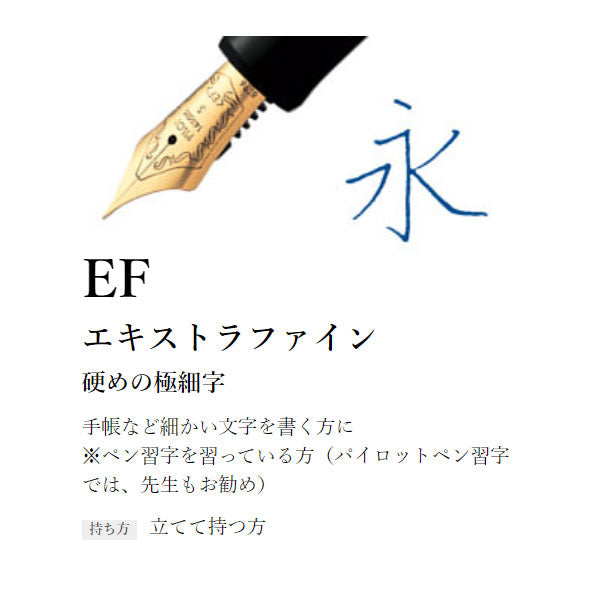(7/30園田)CUSTOM 74《カスタム74》万年筆 ［EF/F/SF/FM/SFM/M/SM/B/BB］パイロット FKKN-12SR 【送料無料*】