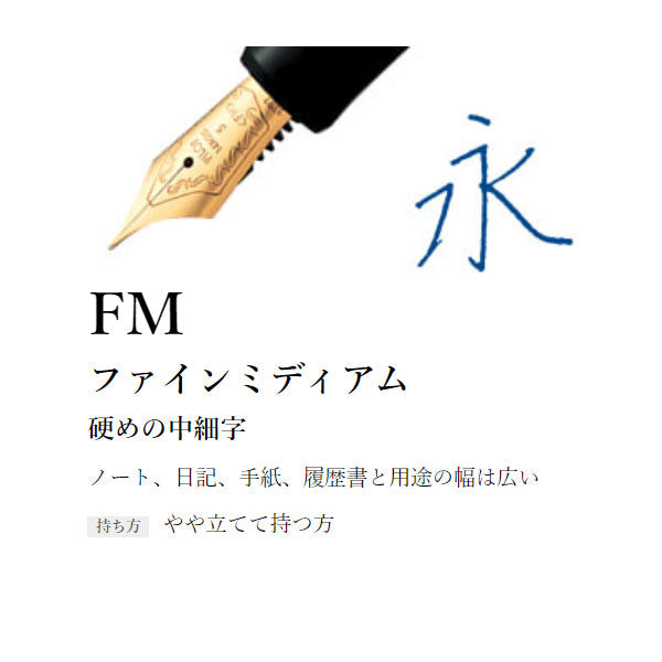 (7/30園田)CUSTOM 74《カスタム74》万年筆 ［EF/F/SF/FM/SFM/M/SM/B/BB］パイロット FKKN-12SR 【送料無料*】