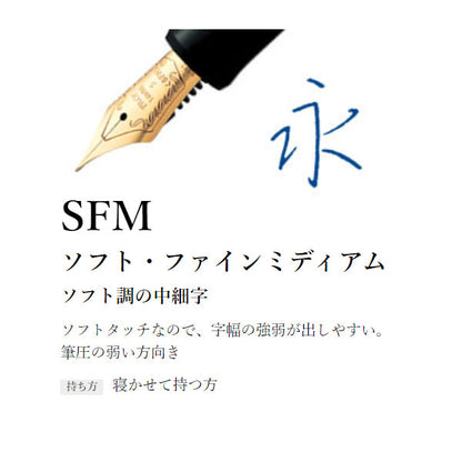 (7/30園田)CUSTOM 74《カスタム74》万年筆 ［EF/F/SF/FM/SFM/M/SM/B/BB］パイロット FKKN-12SR 【送料無料*】