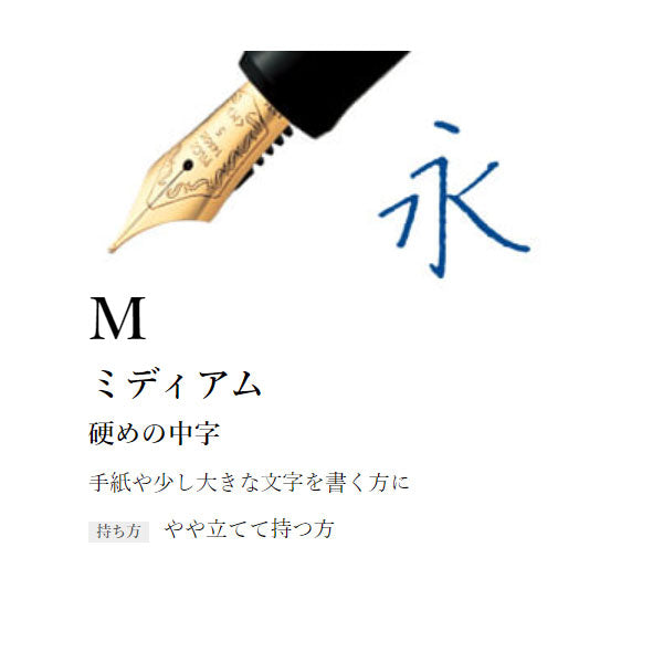 (7/30園田)CUSTOM 74《カスタム74》万年筆 ［EF/F/SF/FM/SFM/M/SM/B/BB］パイロット FKKN-12SR 【送料無料*】