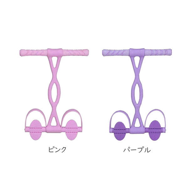 ダイエットリーダー [ピンク・パープル]  広島エール D-2**