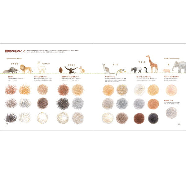 【ネコポス便対応可能商品】色えんぴつでかわいい動物  パイインターナショナル 1745-4068