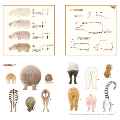 【ネコポス便対応可能商品】色えんぴつでかわいい動物  パイインターナショナル 1745-4068