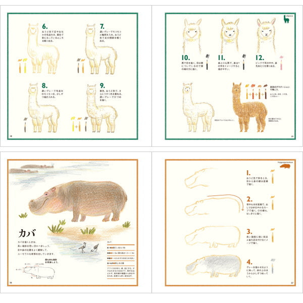 【ネコポス便対応可能商品】色えんぴつでかわいい動物  パイインターナショナル 1745-4068