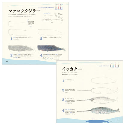 【ネコポス便対応可能商品】色えんぴつでかわいい水の生き物  パイインターナショナル 1745-4377