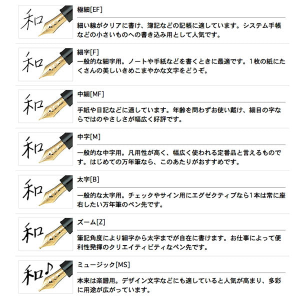 万年筆 プロフェッショナルギア インペリアルブラック［細字/中字