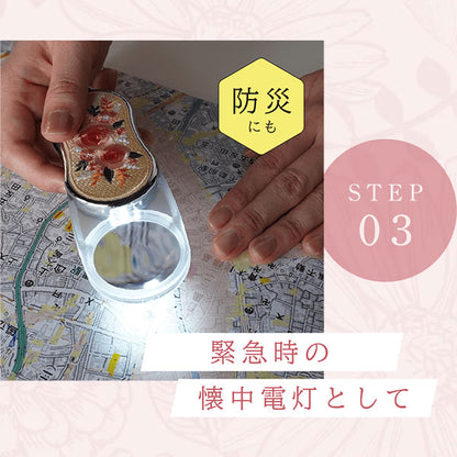 ライトで光る！おめかしルーペ [全6種類] 3carat/真美堂 OLS [M便 1/3]