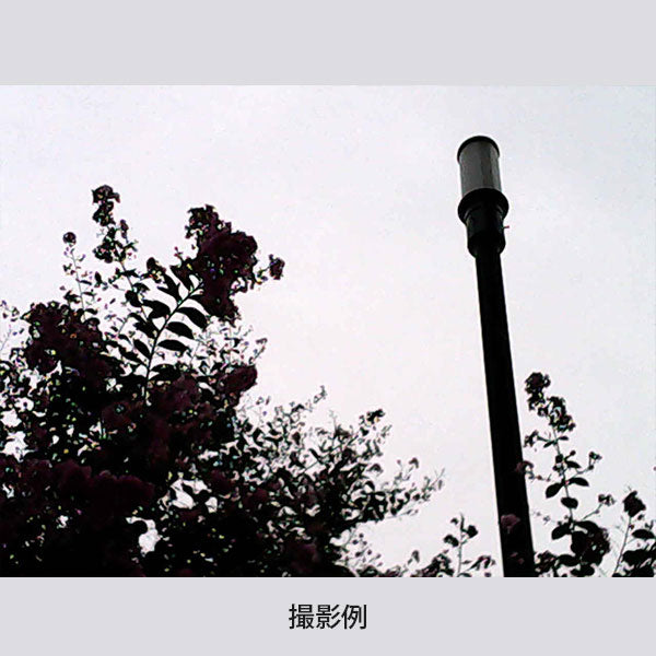 ESCURA レトロ１デジタルミニカメラ [全3色] シンシア AMZ10003
