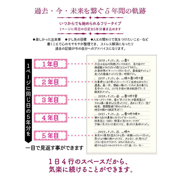 星空シリーズ 5年連用日記 全2種類 Clothes-Pin(クローズ・ピン) DI-16336/7 [M便 1/1]