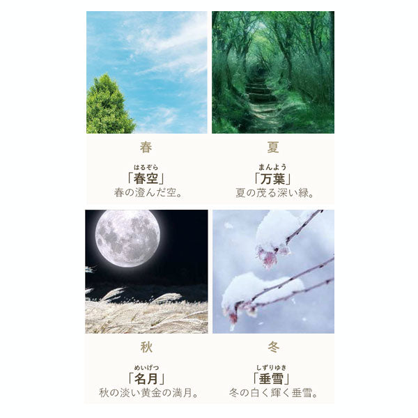 万年筆 四季織 雪月空葉 [極細/中細字] 全4種 セーラー万年筆 1224