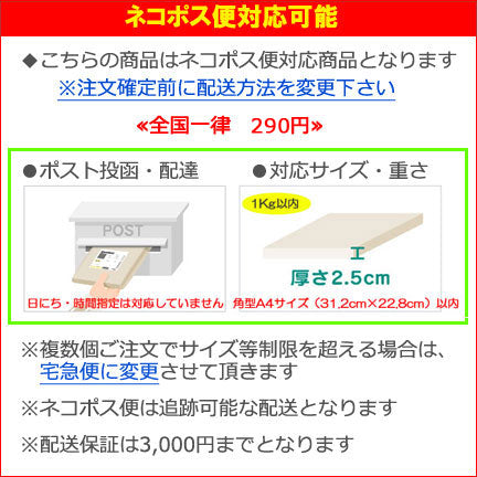 【ネコポス便対応可能商品】≪正規取扱店≫ ファイロファックス システム手帳リフィル(6穴)  A5サイズ 横罫ホワイト  ファイロファックス 343008