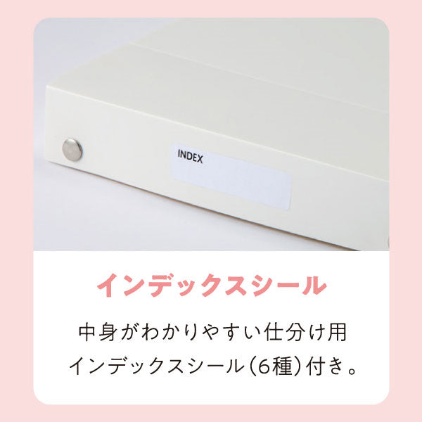 メモリートレー Lサイズ [全2色] レイメイ藤井 VPP1291