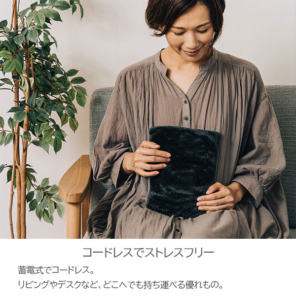 Plus+ more 蓄熱式電気湯たんぽ [全3色] PBAWA003 ライフオンプロダクツ/キングジム