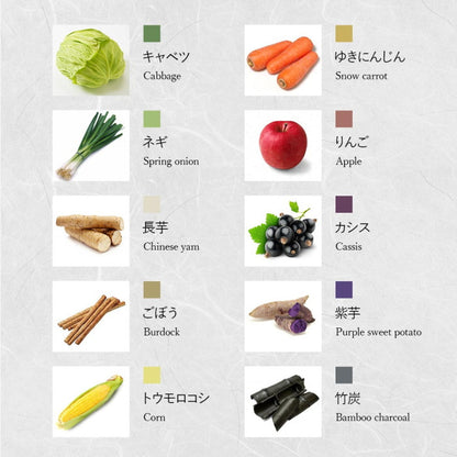 おやさい　クレヨンぬりえセット　はらぺこあおむし　DENTRA DT-CN01