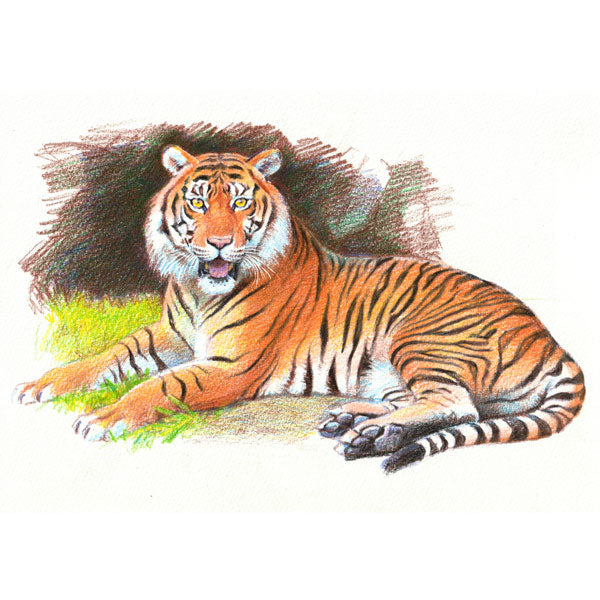 Art Multi 8《アートマルチ8》ホルダーシャープペンシル［8色］芯径2mm