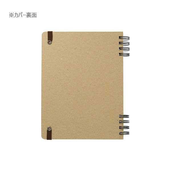 ロルカナ ディアブロ　レジェンダリー foil2枚セット ロルカナ ディアブロ レジェンダリー foil2枚セット ディズニー