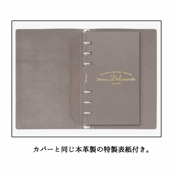 ダ・ヴィンチ ドルチェメンテ ES (A5サイズ) システム手帳 リング径15mm [全5色] レイメイ藤井 DSA1092* 【送料無料】