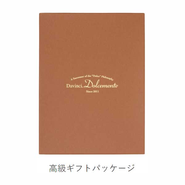 ダ・ヴィンチ ドルチェメンテ ES (A5サイズ) システム手帳 リング径15mm [全5色] レイメイ藤井 DSA1092* 【送料無料】