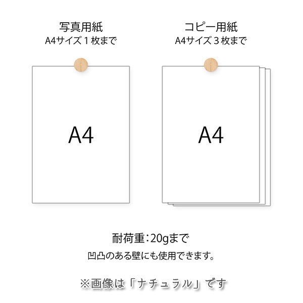 ピクチャークリップ 木製 3個入り [全4色] デザインフィル(ミドリ