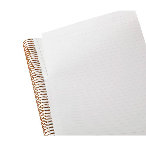 オルメン.ノート Amazon.com: HP OmniBook 14