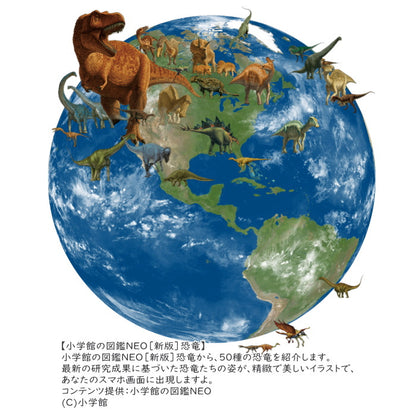 ほぼ日のアースボール 地球儀　リプルーグル(Replogle)　413-45072