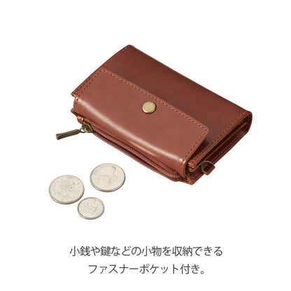 (12/10園田)GLOIRE《グロワール》カードケース(小銭入れ付)［全4色］ レイメイ藤井 GLH1305［M便 1/6］