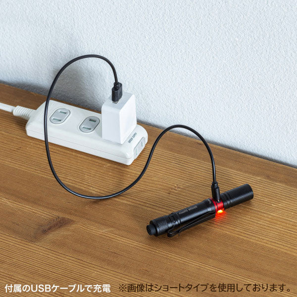 【12/12角乢】ペン型ライト ショートタイプ/ロングタイプ サンワサプライ LED-PEN2/3BK [M便 1/10]