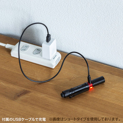 【12/12角乢】ペン型ライト ショートタイプ/ロングタイプ サンワサプライ LED-PEN2/3BK [M便 1/10]