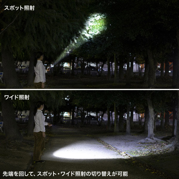 【12/12角乢】ペン型ライト ショートタイプ/ロングタイプ サンワサプライ LED-PEN2/3BK [M便 1/10]