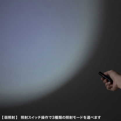 【12/12角乢】ペン型ライト ショートタイプ/ロングタイプ サンワサプライ LED-PEN2/3BK [M便 1/10]