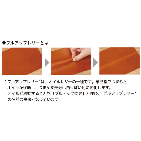 *12/17原田*アンティコルド≪ANTIQOLD≫ ペンケースS［全2色］ パイロット AQPSF-01S [M便 1/2]