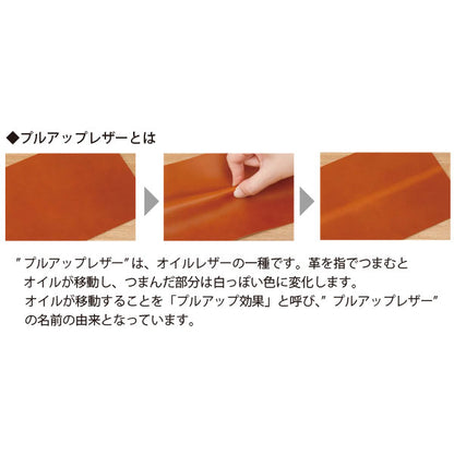*12/17原田*アンティコルド≪ANTIQOLD≫ ペンケースS［全2色］ パイロット AQPSF-01S [M便 1/2]