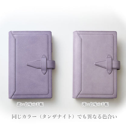 ダ・ヴィンチ ロロマクラシック ジュエルコレクション＆ステンドルーラー システム手帳 mini5サイズ リング内径：16mm [全2色] ※保証書付 レイメイ藤井 DPM1480 【送料無料*】