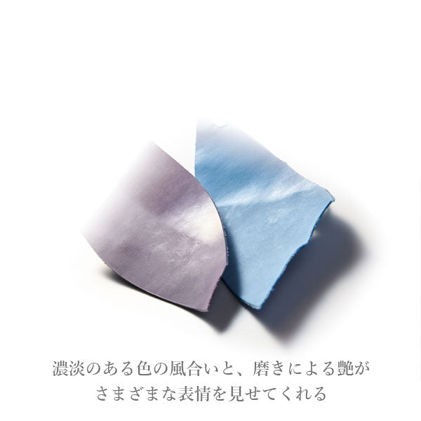 ダ・ヴィンチ ロロマクラシック ジュエルコレクション＆ステンドルーラー システム手帳 聖書サイズ リング内径：15mm [全2色] レイメイ藤井 DB1478 【送料無料*】