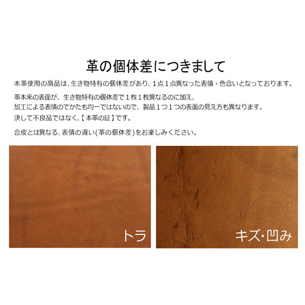 5012 Liscio《リスシオ》 6穴リングレザーバインダー 11mm径リング ミニサイズ シルバーリング [全4色] PLOTTER 777-168-21/22/23/24 【送料無料※】