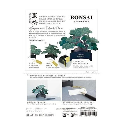 BONSAI ポップアップカード [黒松] グリーティングライフ KE-65 [M便 1/4]