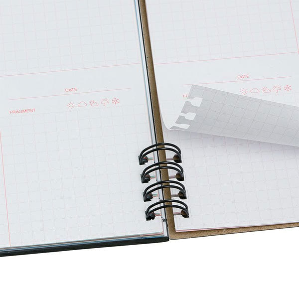 Rollbahn《 ロルバーン》 フレキシブル カバー 360° (Naoya Okazaki) L デルフォニックス［DELFONICS］501333 [M便 1/2]